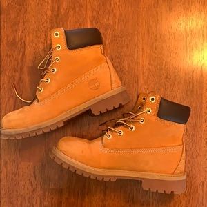 6in Classic Timberland Wheat